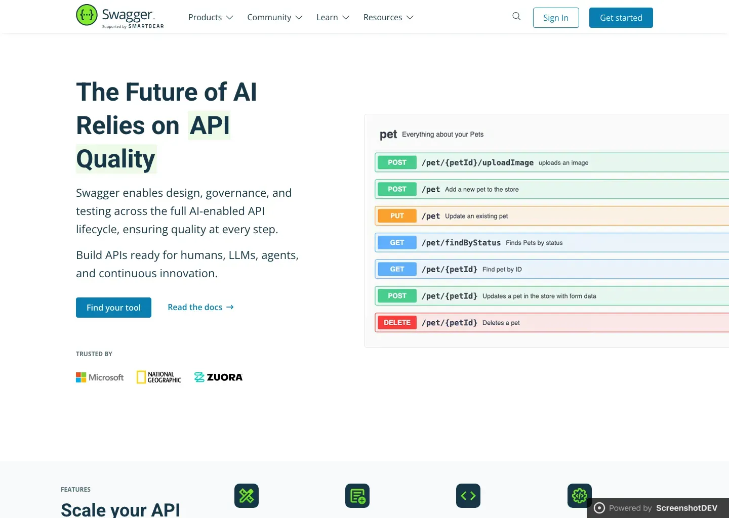 Screenshot of swagger.io